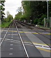 Railway south of Summer Road level crossing, Thames Ditton