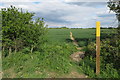 Footpath to Thurleigh