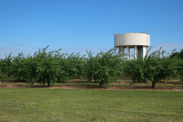 Water tower and orchard by Bluntisham