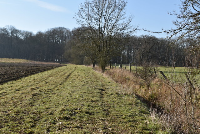 Debden Park © N Chadwick :: Geograph Britain and Ireland