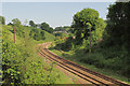 Railway line approaching Totnes