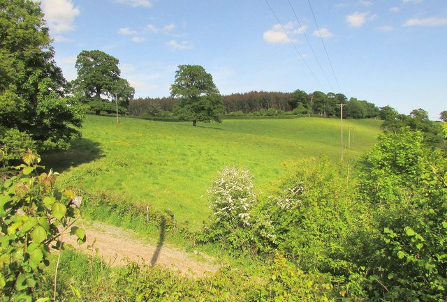 Field Above Malt Mill Lake © Derek Harper Cc By Sa20 Geograph