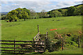 Footpath heading North East from Higher Birks