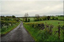 H4867 : Drumconnelly Road, Drumconnelly by Kenneth  Allen