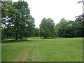 Trees in Holmfield Park, Wakefield