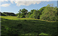 Meadow by Copland Lane