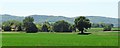 View SW from the path south of Little Bognor