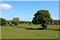 Farmland North of Ashford Road