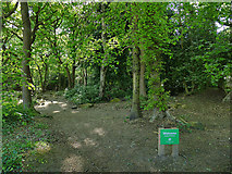 SE2539 : Entrance to Ireland Wood from Hospital Lane by Stephen Craven