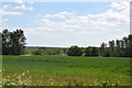 Field west of Terling Road