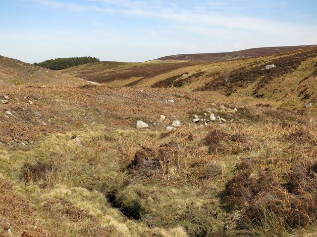 Knight's Cleugh and Washpool Hill © Mike Quinn :: Geograph Britain and ...