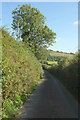 Lane to Lotherton Bridge