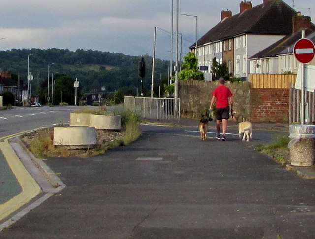 Early morning dog walker, Malpas, Newport