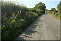 Lane near Collaford