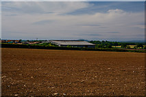 ST4238 : Shapwick : Ploughed Field by Lewis Clarke