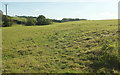 Field by Silverbridge Lake