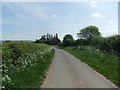 Bleaberry Lane near Pasture Farm