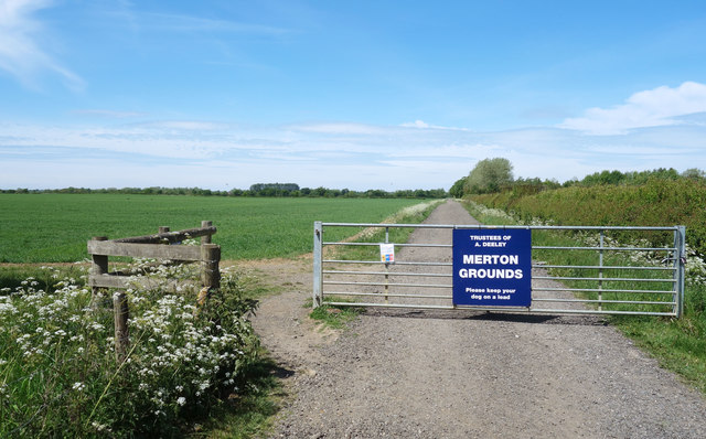 Gate to Merton Grounds © Des Blenkinsopp :: Geograph Britain and Ireland