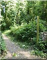 Public footpath off Bysing Wood Road