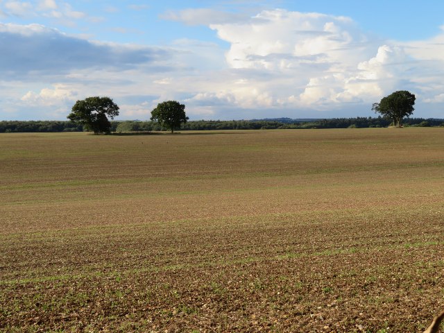 Farmland north of North Waltham