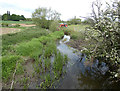 Rothley Brook next to the Coffin Bridge