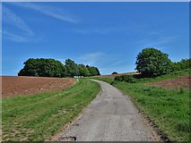 SK4336 : Track to Hopwell Nook by Neil Theasby