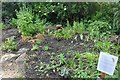 Streamside Rainbow Garden, Yeading Walk