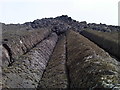 C9544 : Looking straight up the Basalt Columns at Giant's Causeway by Martyn Pattison