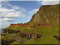 C9545 : View The Causeway Coastal Path across the cliff face at Giant's Causeway by Martyn Pattison