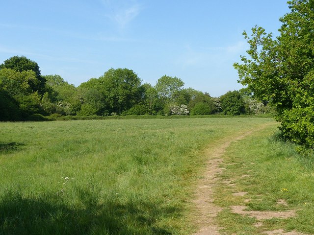 Bonney Doles, Lambley © Alan Murray-Rust cc-by-sa/2.0 :: Geograph ...