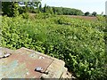 Lambley ROC observation post