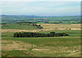 Towards Knockgardner Farm