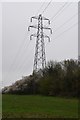 Pylon, Croxley Common Moor