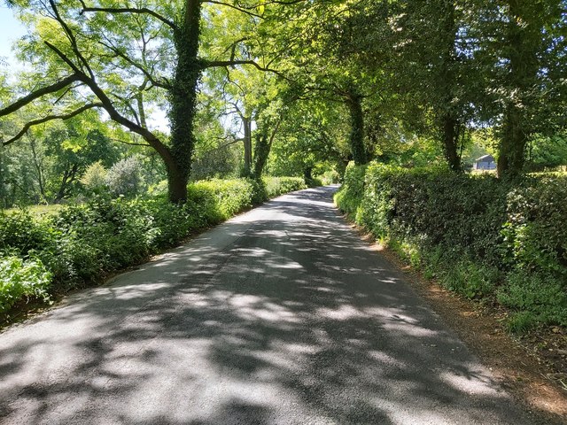Lane near Speldhurst