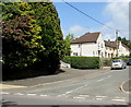 Trees and houses, Lamb Lane, Ponthir, Torfaen