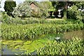 Wilby,  Rookery Farm: Part of the moat