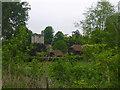 Little Marlow Church Tower from Spade Oak Nature Reserve