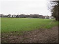 Sports fields in Greenwood Park