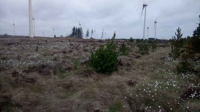 Harburnhead Wind Farm