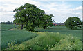 Footpath on field boundary, nr Bilsdens Farm, Bobbingworth