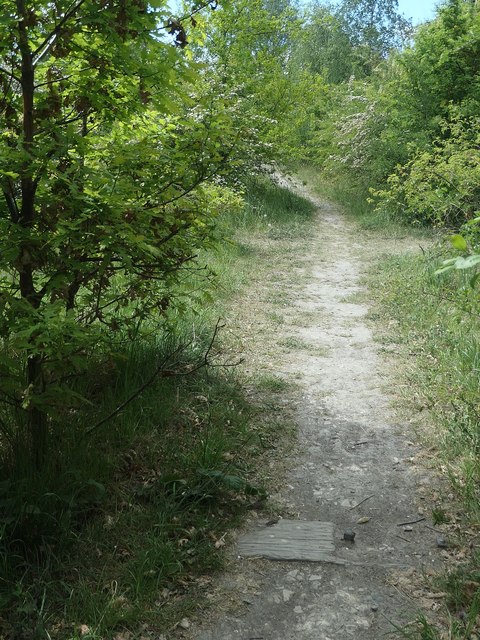 Path on the riverbank near Bottomboat Reach