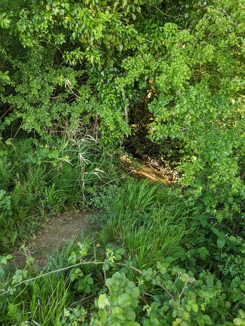 A peek at the stream