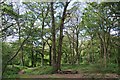 Norton Heath Local Wildlife Site