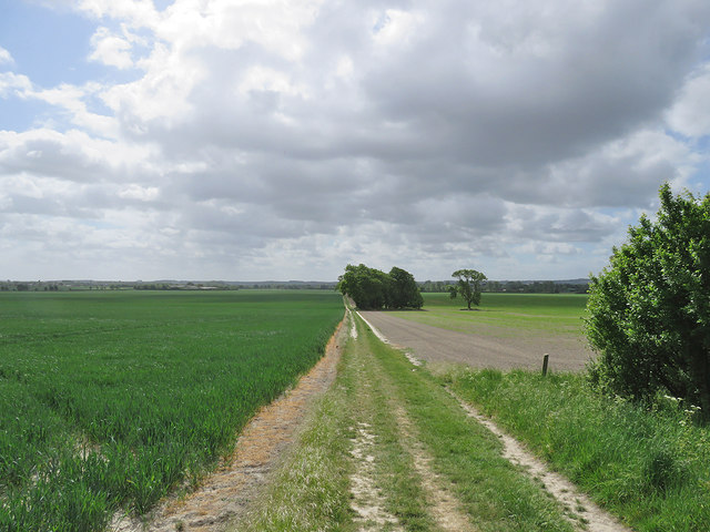 Foxton: footpath to Fowlmere