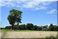 Field near Berwick Farm