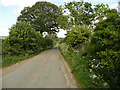 Coach Gate Lane, Gunthorpe