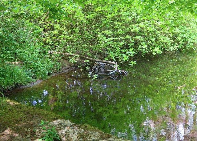 Drowned shopping trolley