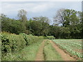 Footpath in Carthorpe parish