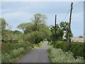 Lane across Carthorpe Moor