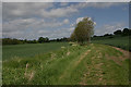 Footpath north of Great Easton